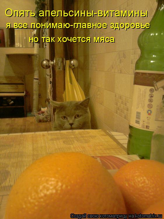 Котоматрица: Опять апельсины-витамины я все понимаю-главное здоровье но так хочется мяса