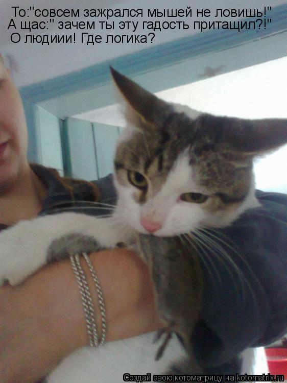 Котоматрица: То:"совсем зажрался мышей не ловишь!" А щас:" зачем ты эту гадость притащил?!" О людиии! Где логика?