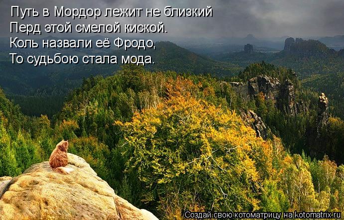 Котоматрица: Путь в Мордор лежит не близкий Перд этой смелой киской. Коль назвали её Фродо, То судьбою стала мода.
