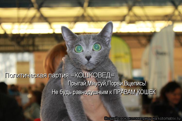 Котоматрица: Политическая партия =КОШКОВЕД=  Прыгай,Мяусуй,Порви,Вцепись! Не будь равнодушным к ПРАВАМ КОШЕК