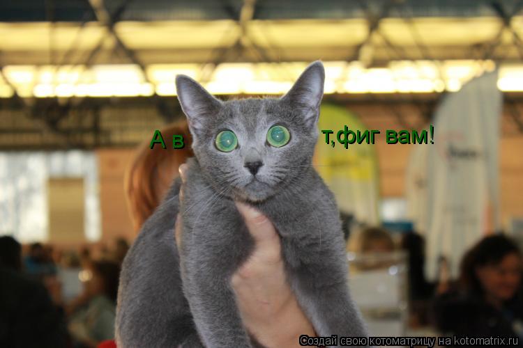 Котоматрица: т,фиг вам! А в
