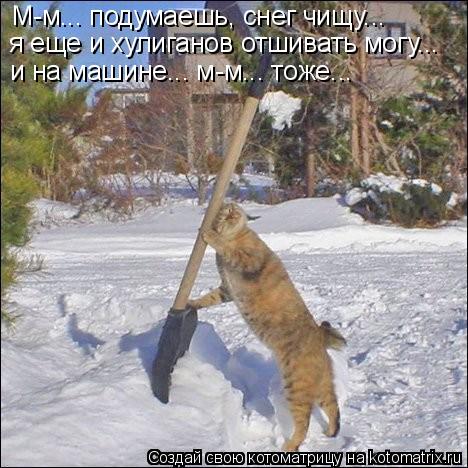 Котоматрица: М-м... подумаешь, снег чищу... я еще и хулиганов отшивать могу... и на машине... м-м... тоже...