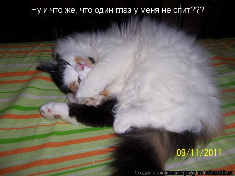 Котоматрица: Ну и что же, что один глаз у меня не спит???