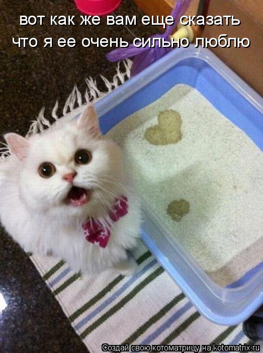 вот как же вам еще сказать что я ее очень сильно люблю вот как же вам еще сказать что я ее очень силь... Котоматрица: вот как же вам еще сказать что я ее очень сильно люблю вот как же вам еще сказать что я ее очень сильно люблю