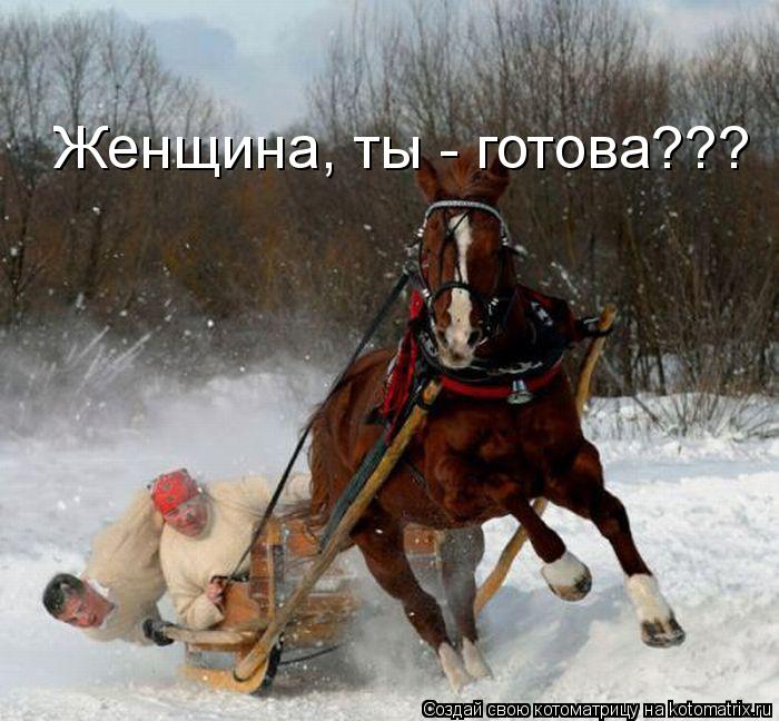 Женщина, ты - готова???... Котоматрица: Женщина, ты - готова???
