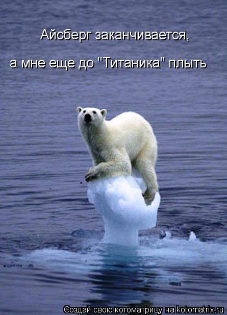 Айсберг заканчивается, а мне еще до "Титаника" плыть... Котоматрица: Айсберг заканчивается, а мне еще до "Титаника" плыть