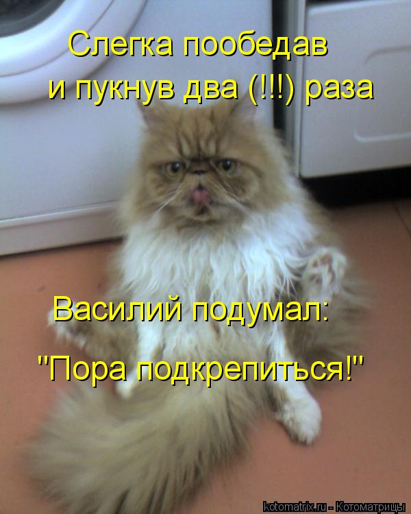 Слегка пообедав и пукнув два (!!!) раза Василий подумал: "Пора подкрепиться!"... Котоматрица: Слегка пообедав и пукнув два (!!!) раза Василий подумал: "Пора подкрепиться!"