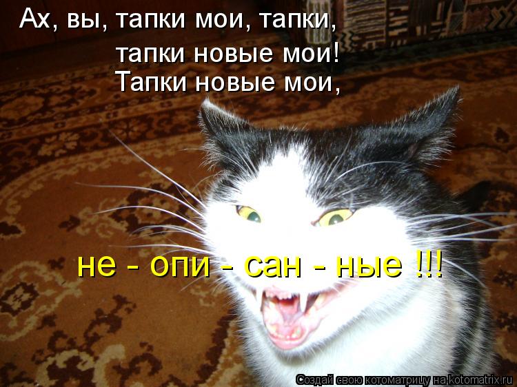 Ах, вы, тапки мои, тапки, тапки новые мои! Тапки новые мои, не - опи - сан - ные !!!... Котоматрица: Ах, вы, тапки мои, тапки, тапки новые мои! Тапки новые мои, не - опи - сан - ные !!!