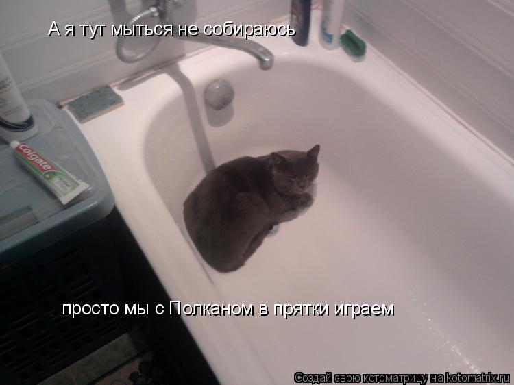 А я тут мыться не собираюсь просто мы с Полканом в прятки играем... Котоматрица: А я тут мыться не собираюсь просто мы с Полканом в прятки играем