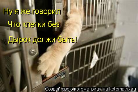 Ну я же говорил Что клетки без Дырок должи быть!... Котоматрица: Ну я же говорил Что клетки без Дырок должи быть!