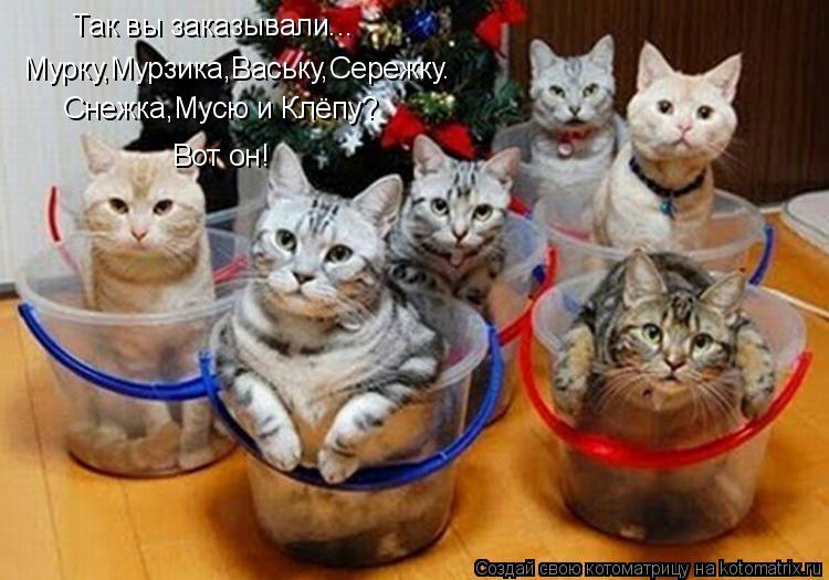 Так вы заказывали... Мурку,Мурзика,Ваську,Сережку. Снежка,Мусю и Клёпу? Вот он!... Котоматрица: Так вы заказывали... Мурку,Мурзика,Ваську,Сережку. Снежка,Мусю и Клёпу? Вот он!