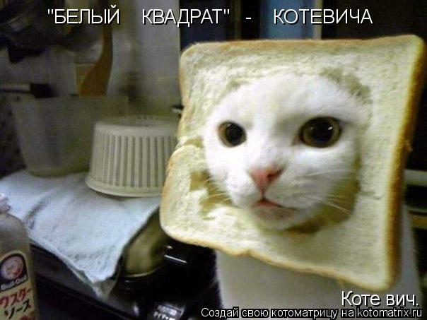 "БЕЛЫЙ КВАДРАТ" - КОТЕВИЧА Коте вич.... Котоматрица: "БЕЛЫЙ КВАДРАТ" - КОТЕВИЧА Коте вич.