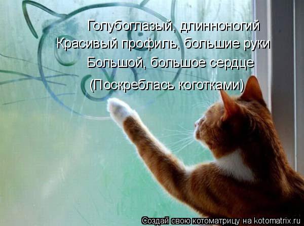Голубоглазый, длинноногий Красивый профиль, большие руки Большой, большое сердце (Поскреблась коготка... Котоматрица: Голубоглазый, длинноногий Красивый профиль, большие руки Большой, большое сердце (Поскреблась коготками)