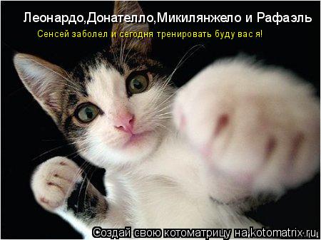 Леонардо,Донателло,Микилянжело и Рафаэль Сенсей заболел и сегодня тренировать буду вас я!... Котоматрица: Леонардо,Донателло,Микилянжело и Рафаэль Сенсей заболел и сегодня тренировать буду вас я!