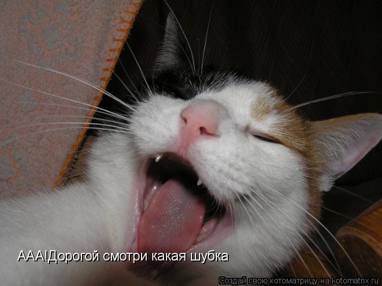 ААА!Дорогой смотри какая шубка... Котоматрица: ААА!Дорогой смотри какая шубка