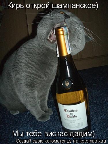 Кирь открой шампанское) Мы тебе вискас дадим)... Котоматрица: Кирь открой шампанское) Мы тебе вискас дадим)