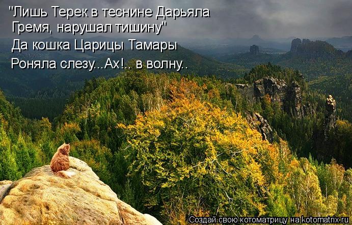 Котоматрица: "Лишь Терек в теснине Дарьяла Гремя, нарушал тишину" Да кошка Царицы Тамары Роняла слезу...Ах!.. в волну..