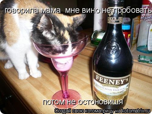 Котоматрица: говорила мама  мне вино не пробовать потом не остоновишя