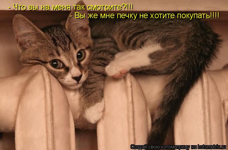 - Что вы на меня так смотрите?!!! - Вы же мне печку не хотите покупать!!!!... Котоматрица: - Что вы на меня так смотрите?!!! - Вы же мне печку не хотите покупать!!!!