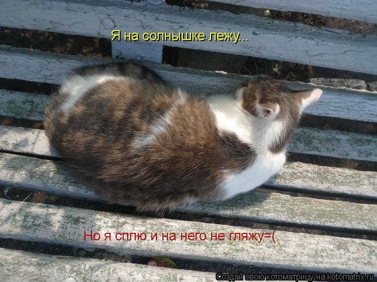 Котоматрица: Я на солнышке лежу... Но я сплю и на него не гляжу=(