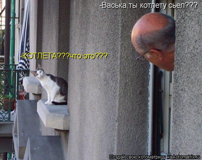 Котоматрица: -Васька,ты котлету сьел??? -КОТЛЕТА???что это???