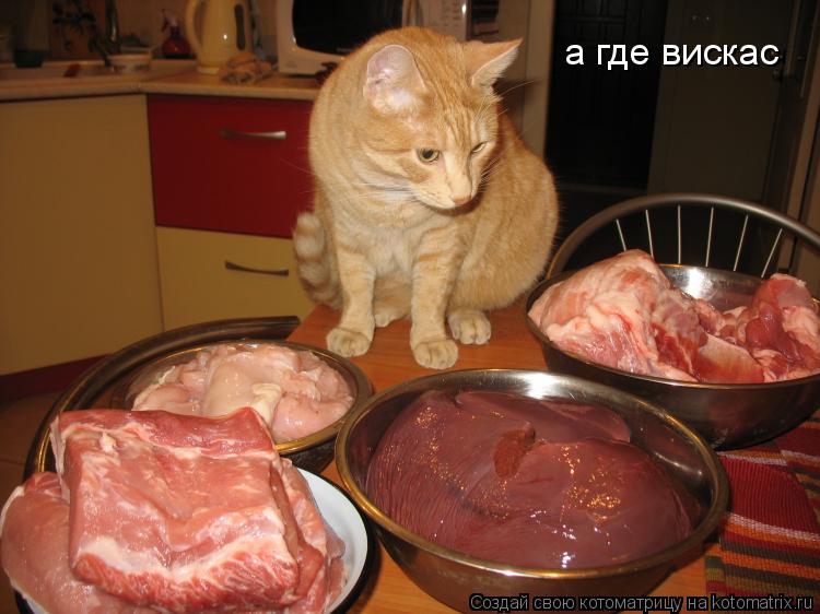 Котоматрица: а где вискас