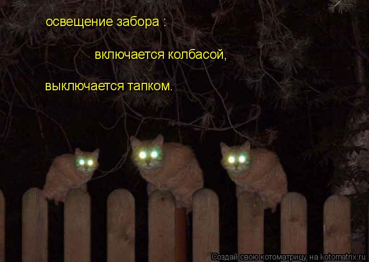 Котоматрица: освещение забора : включается колбасой, выключается тапком.