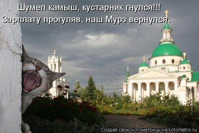 Котоматрица: Шумел камыш, кустарник гнулся!!! Зарплату прогуляв, наш Мурз вернулся.