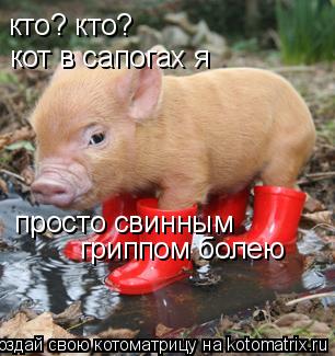 Котоматрица: кто? кто? кот в сапогах я просто свинным гриппом болею