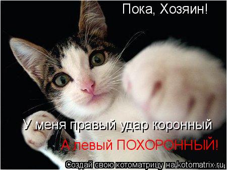 Котоматрица: Пока, Хозяин! У меня правый удар коронный А левый ПОХОРОННЫЙ!