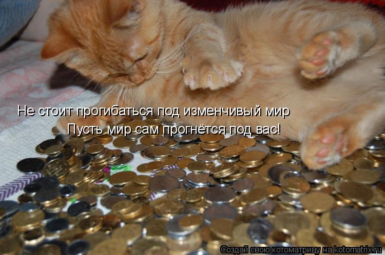 Котоматрица: Не стоит прогибаться под изменчивый мир Пусть мир сам прогнётся под вас!