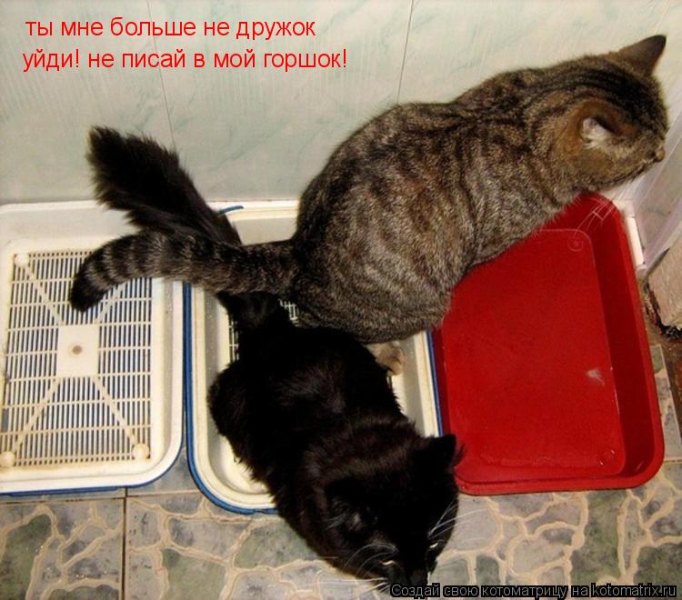 Котоматрица: ты мне больше не дружок уйди! не писай в мой горшок!