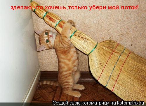 Котоматрица: зделаю что хочешь,только убери мой лоток!