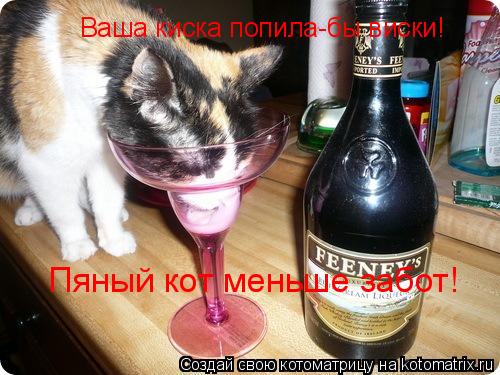 Котоматрица: Ваша киска попила-бы виски! Пяный кот меньше забот!