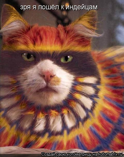 Котоматрица: зря я пошёл к индейцам