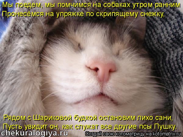 Котоматрица: Мы поедем, мы помчимся на собаках утром ранним Пронесёмся на упряжке по скрипящему снежку, Пусть увидит он, как служат все другие псы Пушку. 