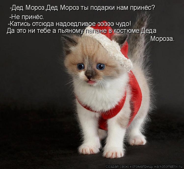Котоматрица: -Дед Мороз,Дед Мороз ты подарки нам принёс? -Не принёс. -Катись отсюда надоедливое эээээ чудо! Да это ни тебе а пьяному папане в костюме Деда М