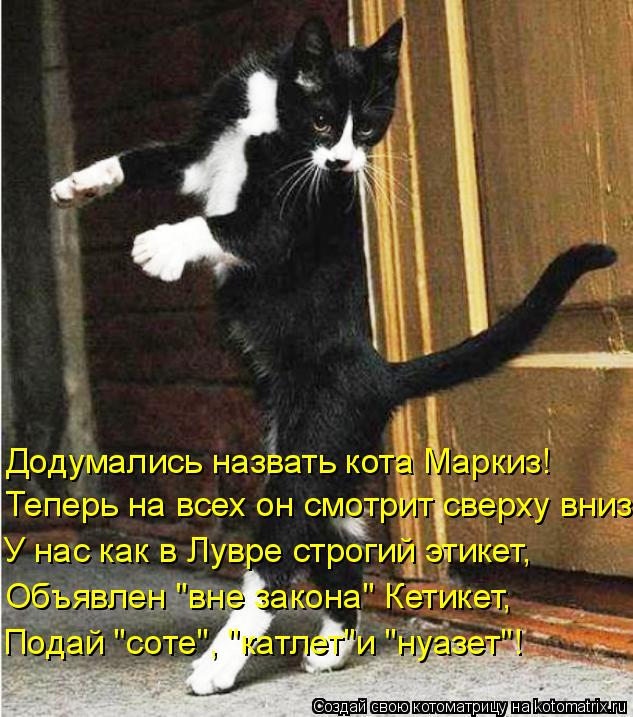 Додумались назвать кота Маркиз! Теперь на всех он смотрит сверху вниз У нас как в Лувре строгий этике... Котоматрица: Додумались назвать кота Маркиз! Теперь на всех он смотрит сверху вниз У нас как в Лувре строгий этикет, Объявлен "вне закона" Кетикет, Подай "