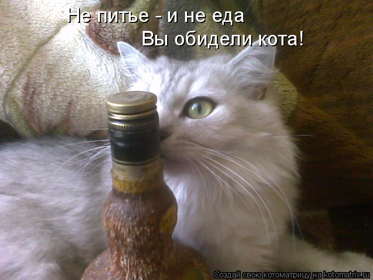Котоматрица: Не питье - и не еда Вы обидели кота!
