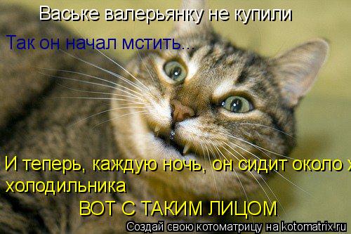 Котоматрица: Ваське валерьянку не купили Так он начал мстить...  И теперь, каждую ночь, он сидит около холодильника холодильника ВОТ С ТАКИМ ЛИЦОМ