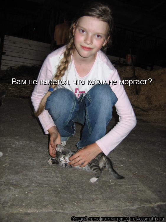 Котоматрица: Вам не кажется, что котик не моргает?