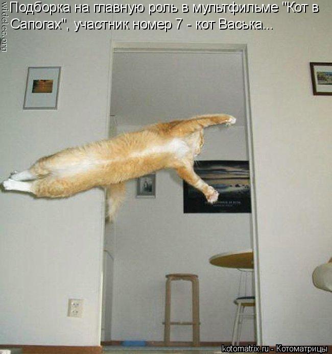 Котоматрица: Подборка на главную роль в мультфильме "Кот в Сапогах", участник номер 7 - кот Васька...