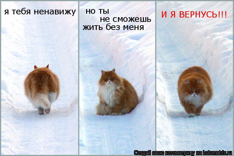 Котоматрица: я тебя ненавижу но ты  не сможешь жить без меня И Я ВЕРНУСЬ!!!