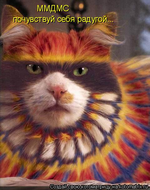 Котоматрица: ММДМС почувствуй себя радугой...