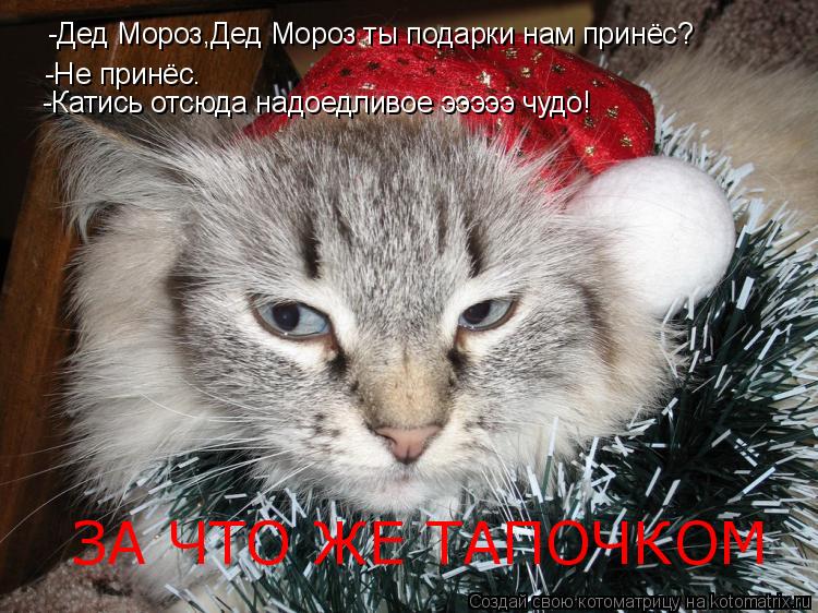Котоматрица: -Дед Мороз,Дед Мороз ты подарки нам принёс? -Не принёс. -Катись отсюда надоедливое эээээ чудо! ЗА ЧТО ЖЕ ТАПОЧКОМ