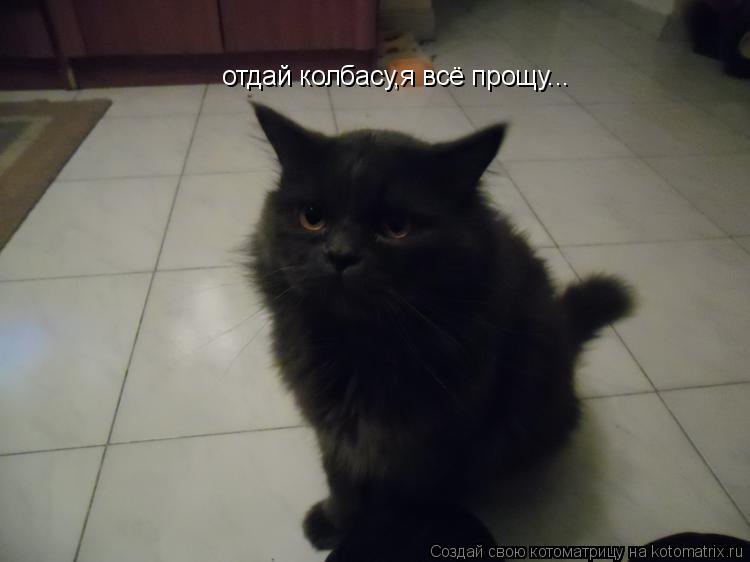 Котоматрица: отдай колбасу,я всё прощу...