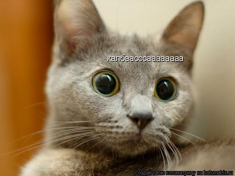Котоматрица: калбаасссаааааааа