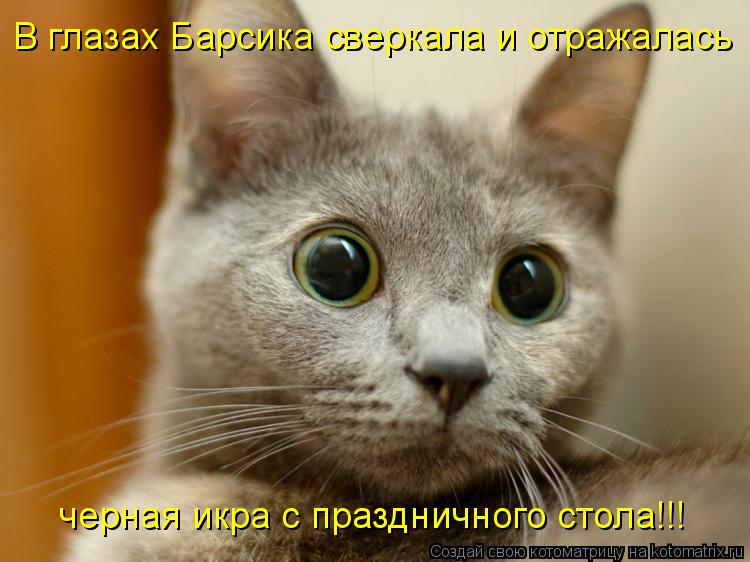 Котоматрица: В глазах Барсика сверкала и отражалась черная икра с праздничного стола!!!