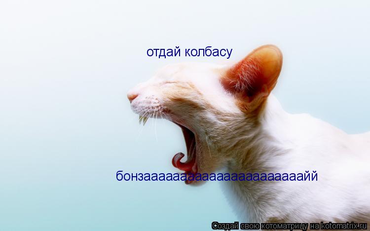 Котоматрица: отдай колбасу бонзаааааааааааааааааааааайй