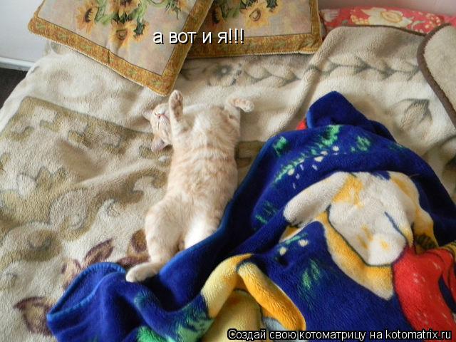 Котоматрица: а вот и я!!!